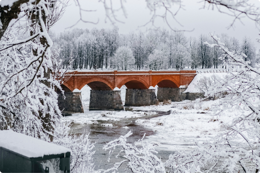 Winter, bridge